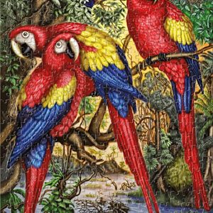 Frank Puzzle Macaw Parrots 500pc