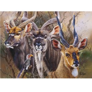 RGS Bushveld Splendour 1500pc Puzzle